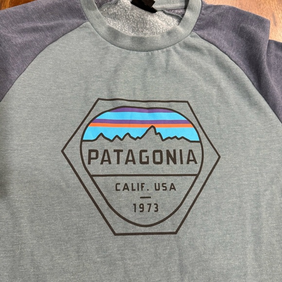 Patagonia Fitz Roy Hex Lightweight Logo Crew Sweatshirt Sweater Size Medium Mens - Picture 3 of 9